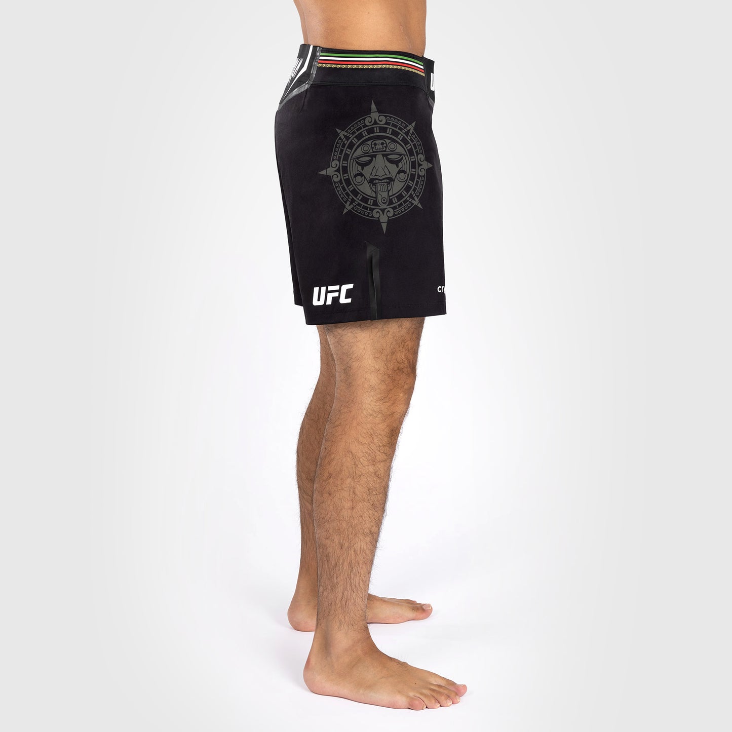 Noche UFC by Venum Authentic Fight Night メンズ ファイト ショート - ショート フィット - ブラック