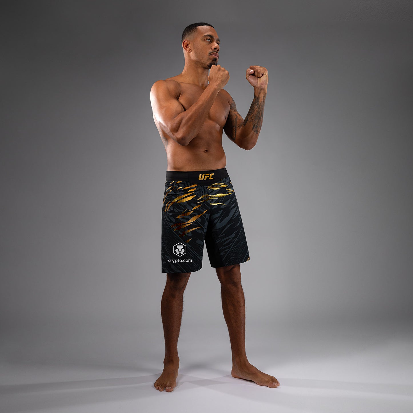 UFC Fusion by Venum Authentic Fight Night レスリングショーツ（男性用、フィットラルゴ） - チャンピオン