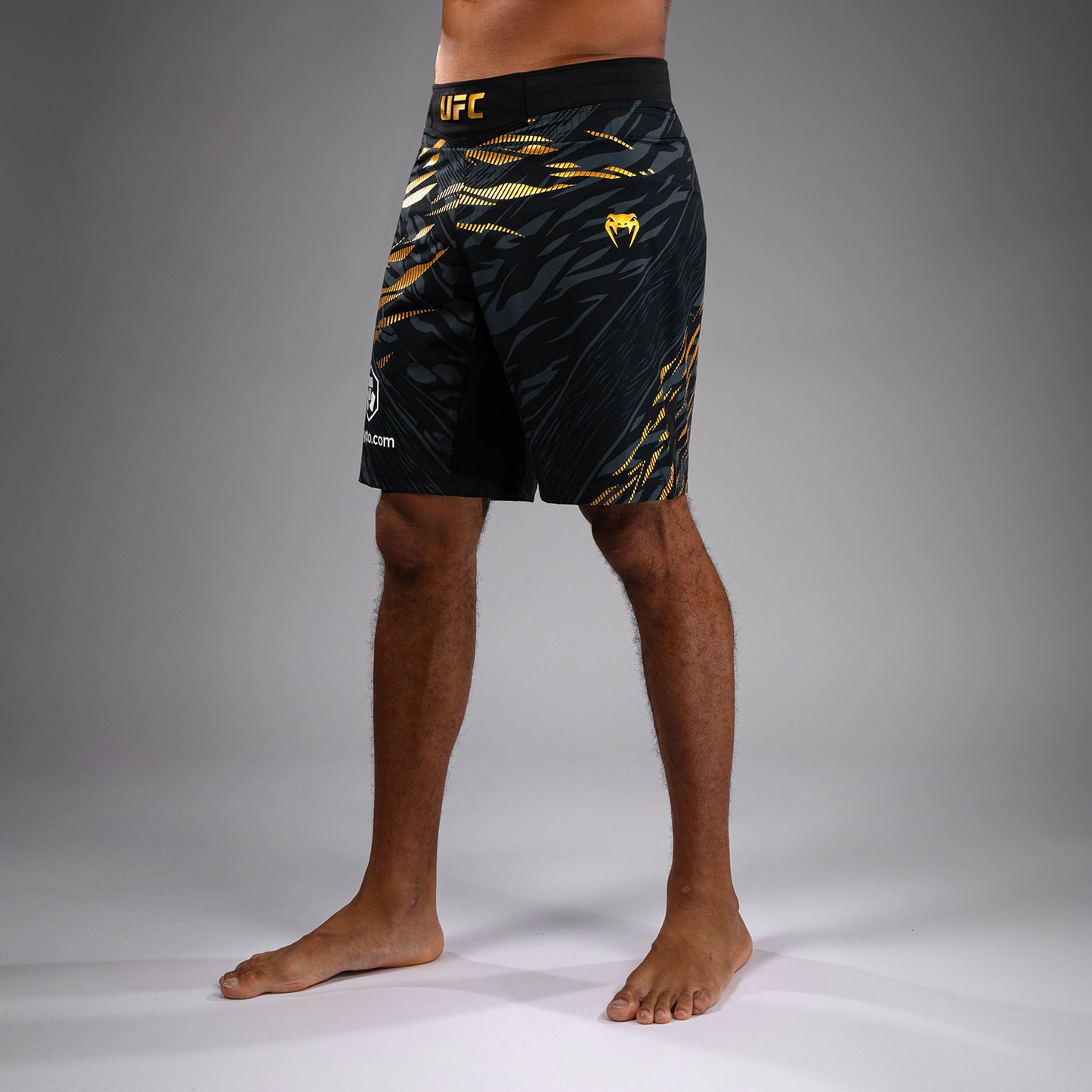 UFC Fusion by Venum Authentic Fight Night レスリングショーツ（男性用、フィットラルゴ） - チャンピオン