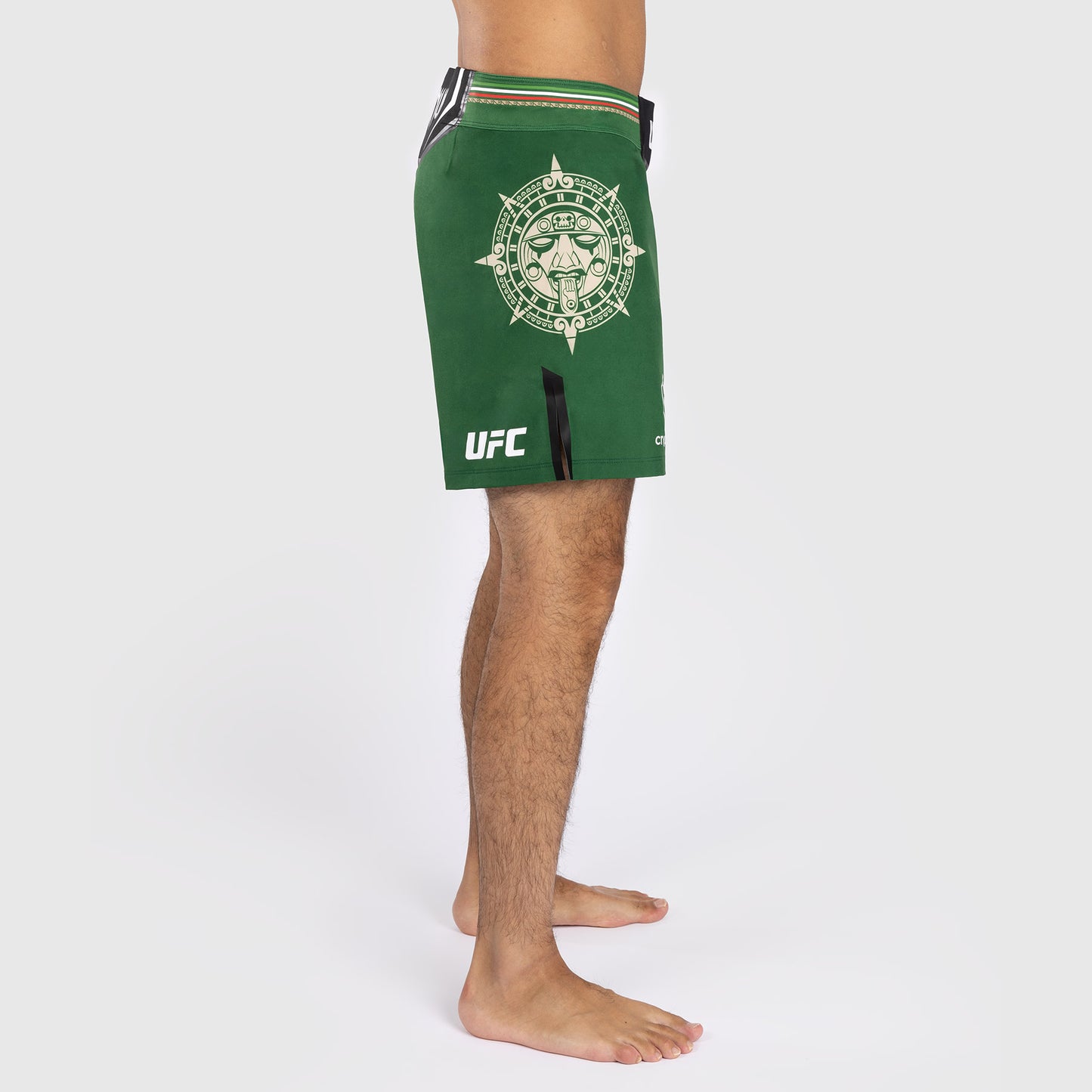 Noche UFC by Venum Authentic Fight Night メンズ ファイト ショート - ショート フィット - グリーン
