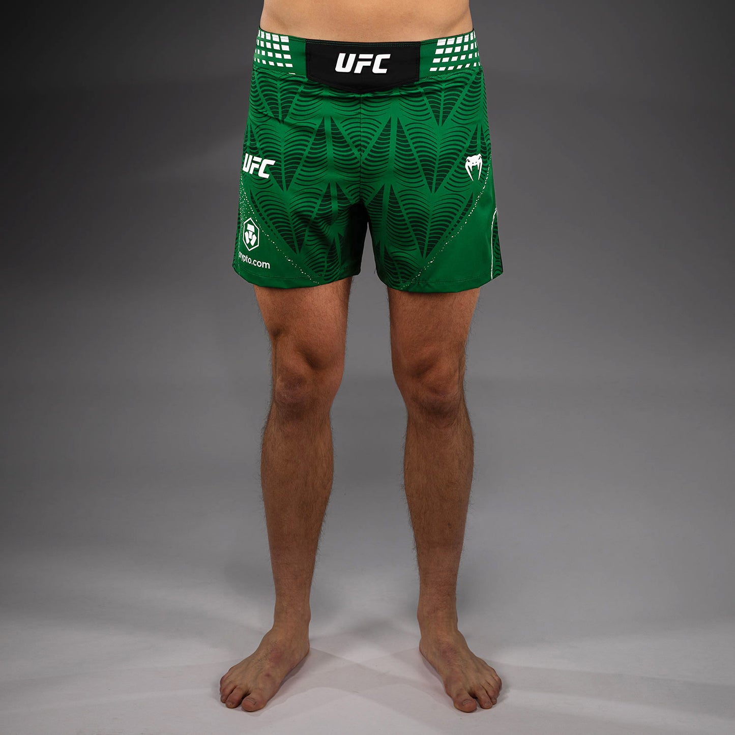 UFC Zenith by Venum Authentic Fight Night ショートフィットファイトショーツ メンズ - グリーン