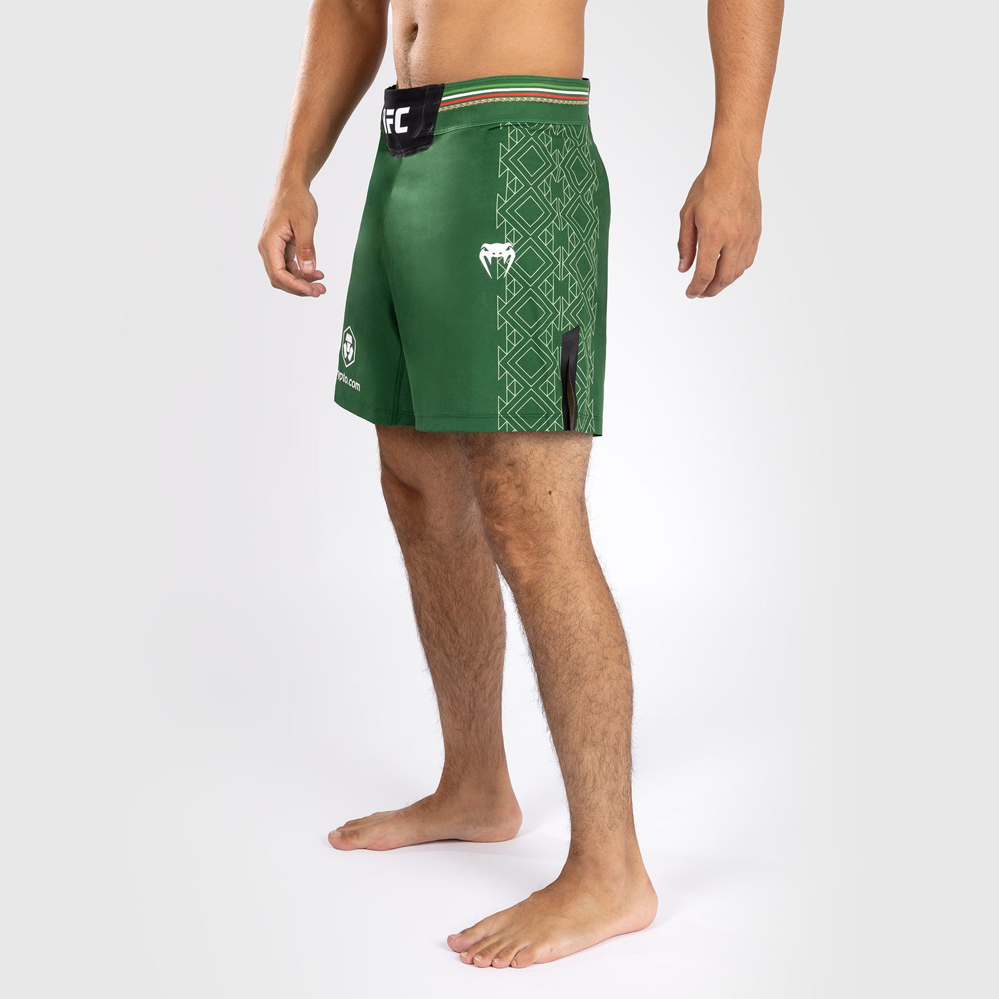 Noche UFC by Venum Authentic Fight Night メンズ ファイト ショート - ショート フィット - グリーン
