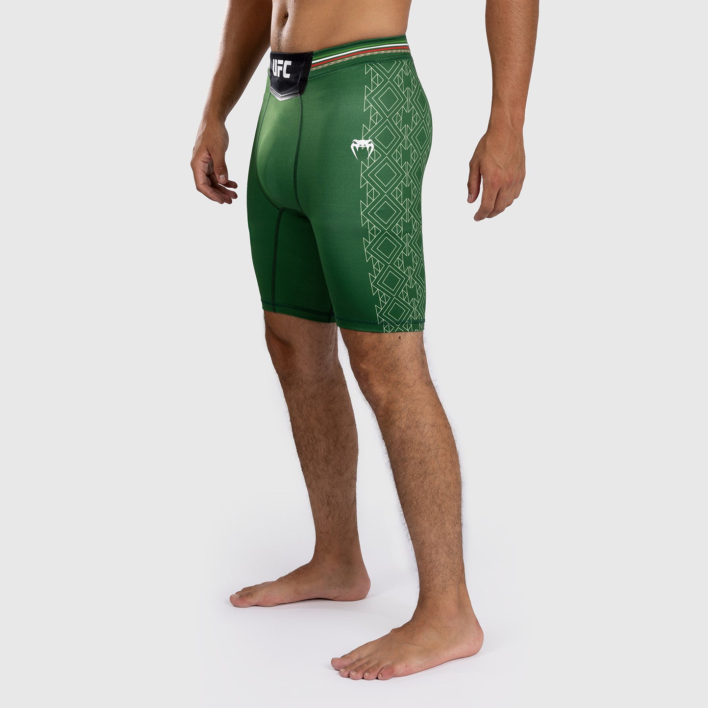 Noche UFC by Venum Authentic Fight Night メンズ ヴァーリトゥード ショートパンツ - グリーン