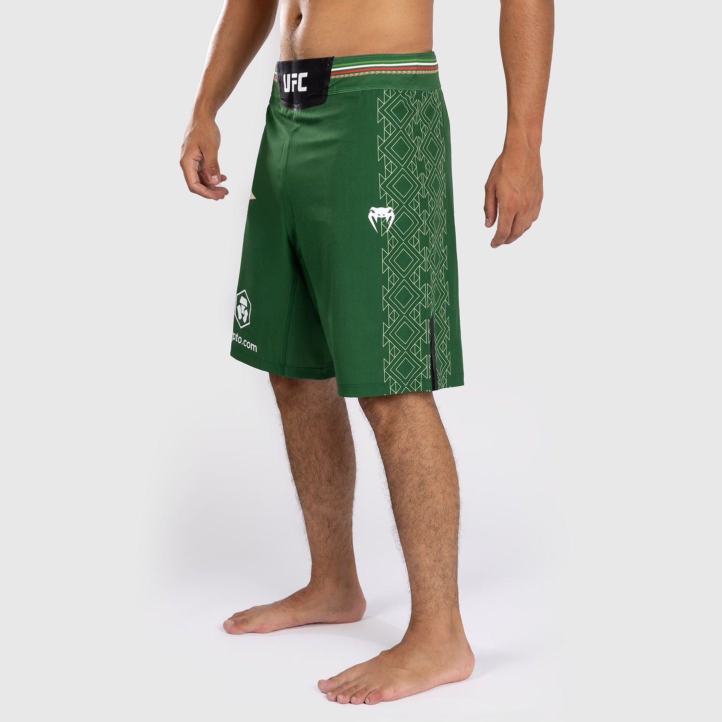 Noche UFC by Venum Authentic Fight Night メンズ ファイト ショート - ロング フィット - グリーン