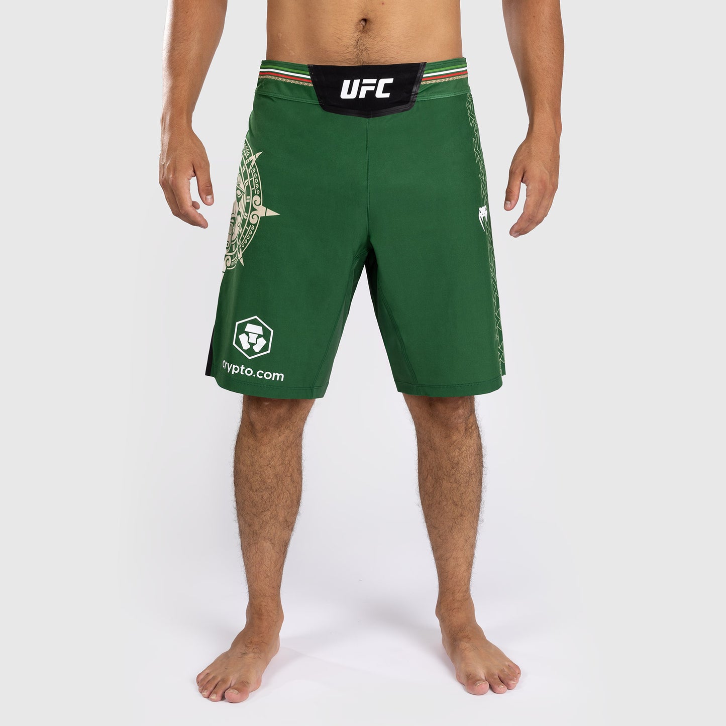 Noche UFC by Venum Authentic Fight Night メンズ ファイト ショート - ロング フィット - グリーン