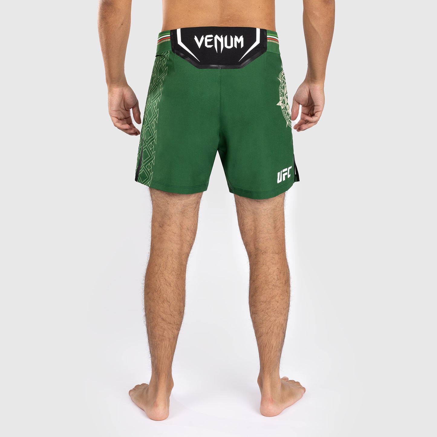 Noche UFC by Venum Authentic Fight Night メンズ ファイト ショート - ショート フィット - グリーン
