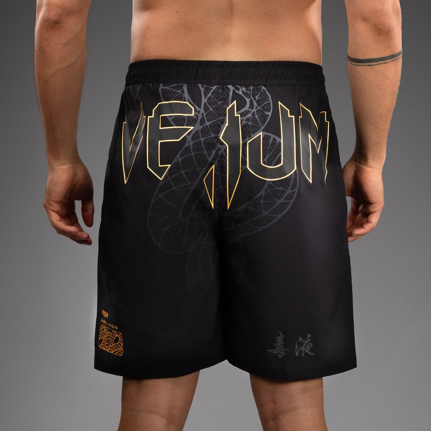 Venum Serpenti トレーニングショーツ – ブラック/シルバー/ゴールド