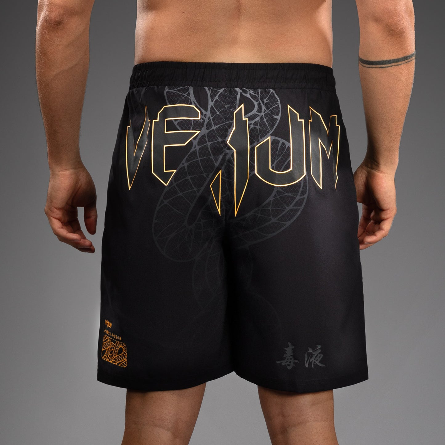 Venum Serpenti トレーニングショーツ – ブラック/シルバー/ゴールド