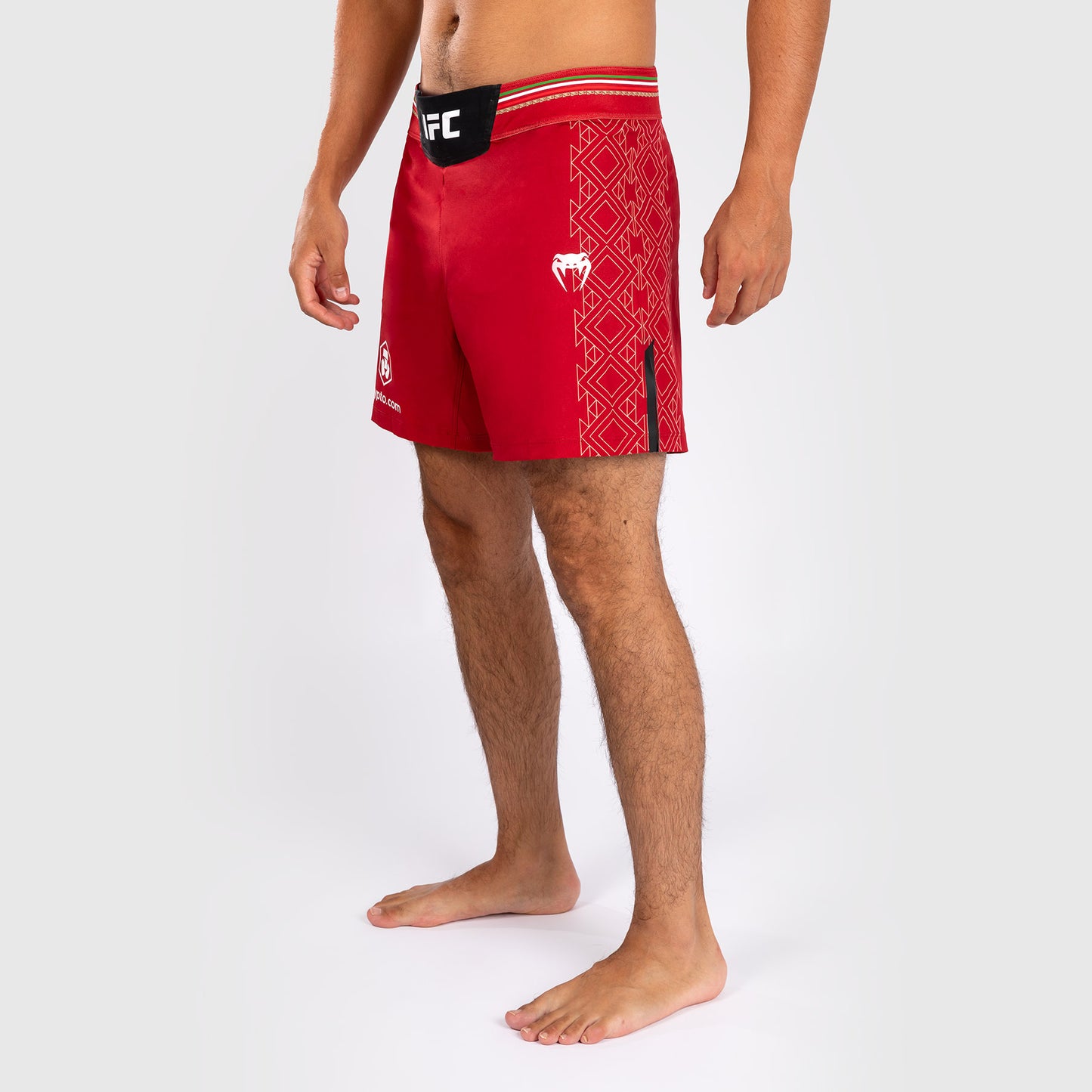 Noche UFC by Venum Authentic Fight Night メンズ ファイト ショート - ショート フィット - レッド