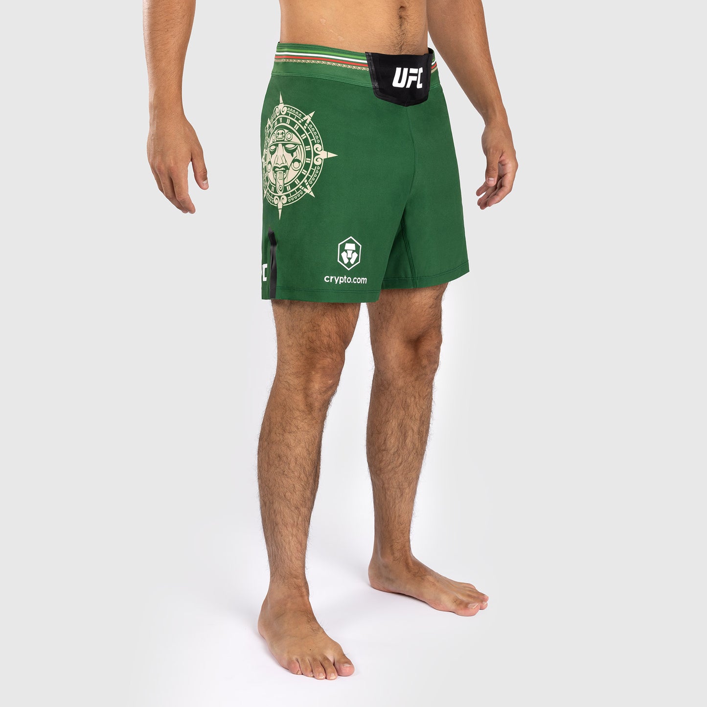 Noche UFC by Venum Authentic Fight Night メンズ ファイト ショート - ショート フィット - グリーン