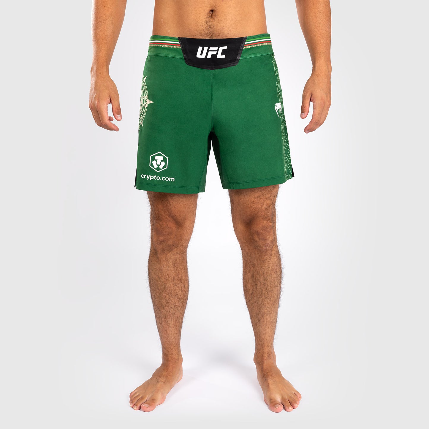 Noche UFC by Venum Authentic Fight Night メンズ ファイト ショート - ショート フィット - グリーン