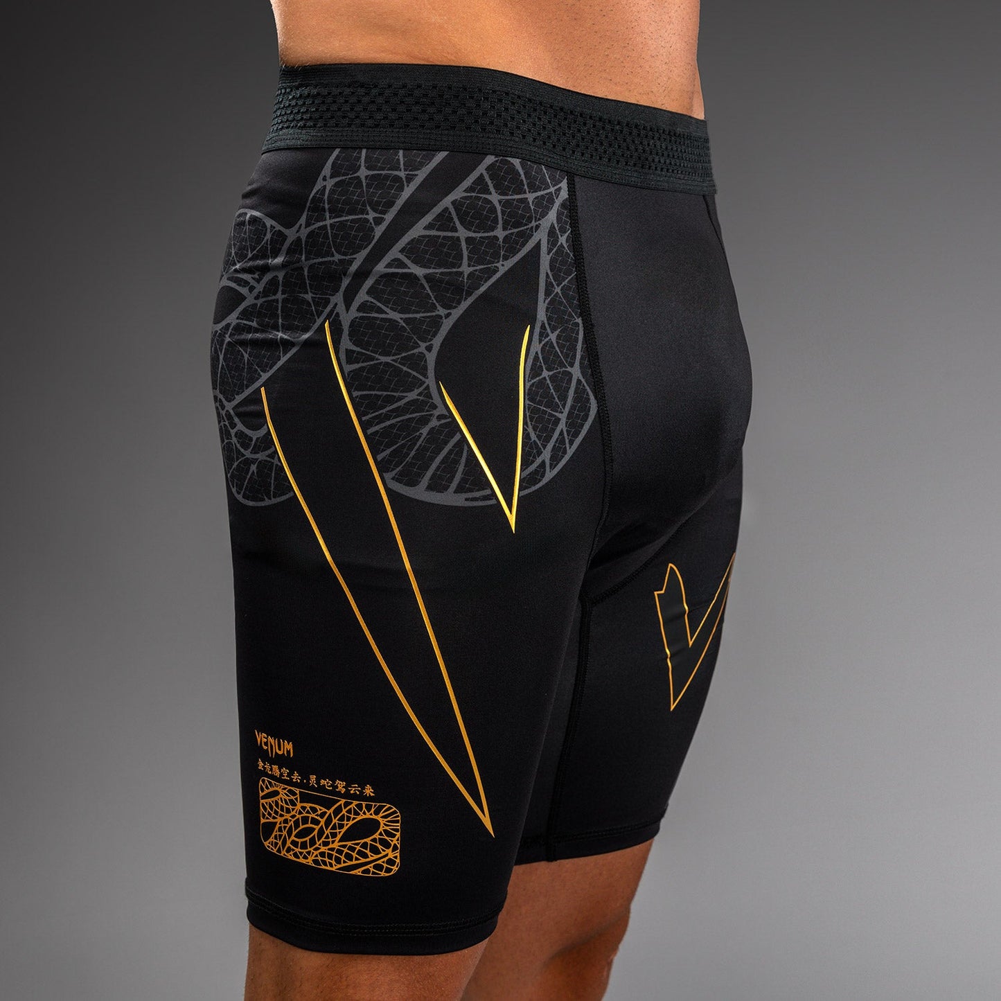 Venum Serpenti Vale Tudo ショーツ – ブラック/シルバー/ゴールド