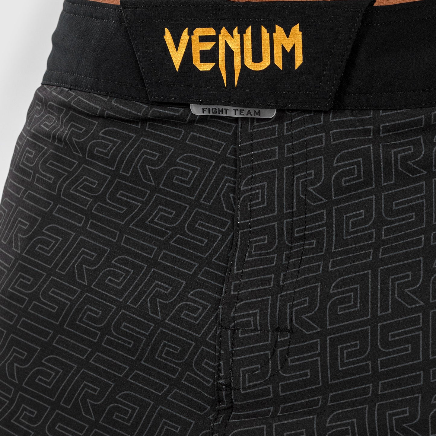 Venum x Ares メンズファイトショーツ - ブラック/ゴールド