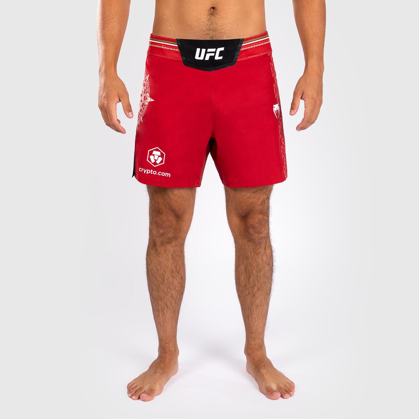 Noche UFC by Venum Authentic Fight Night メンズ ファイト ショート - ショート フィット - レッド