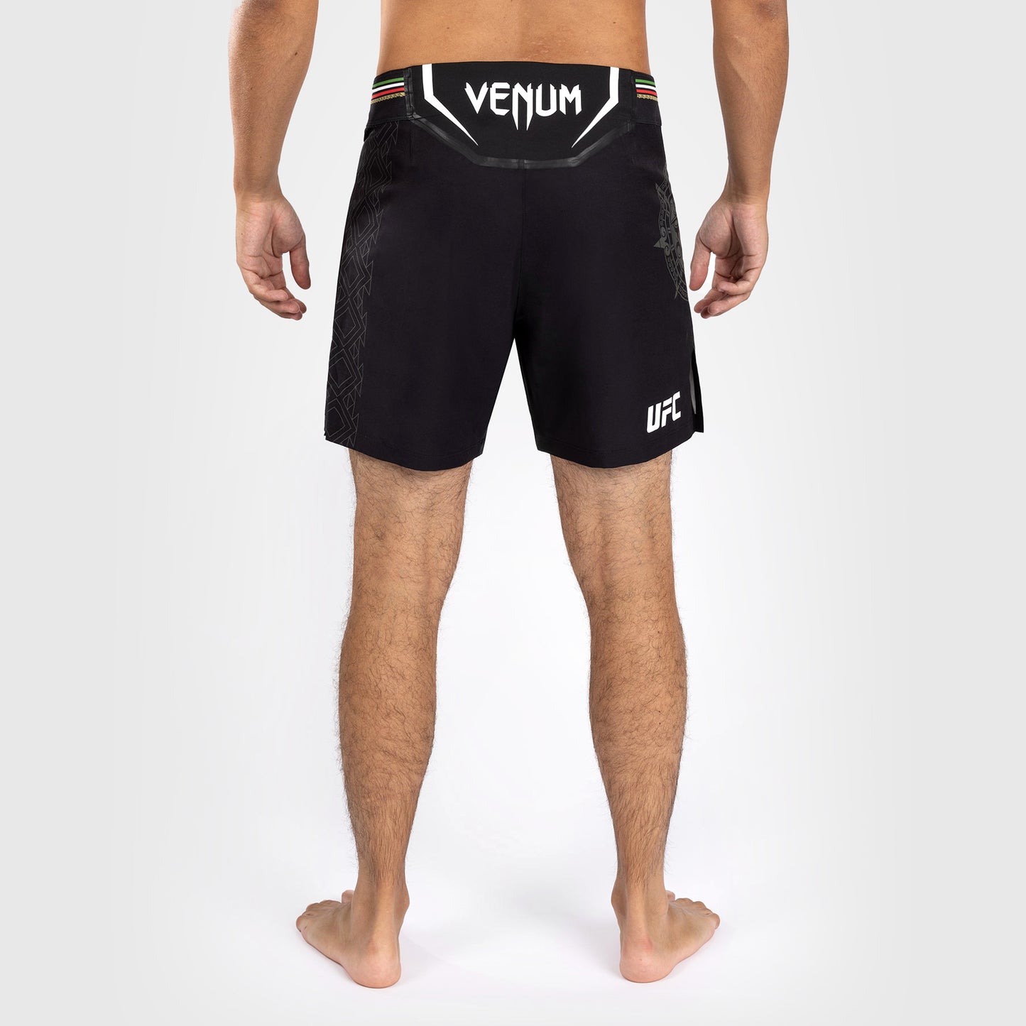 Noche UFC by Venum Authentic Fight Night メンズ ファイト ショート - ショート フィット - ブラック