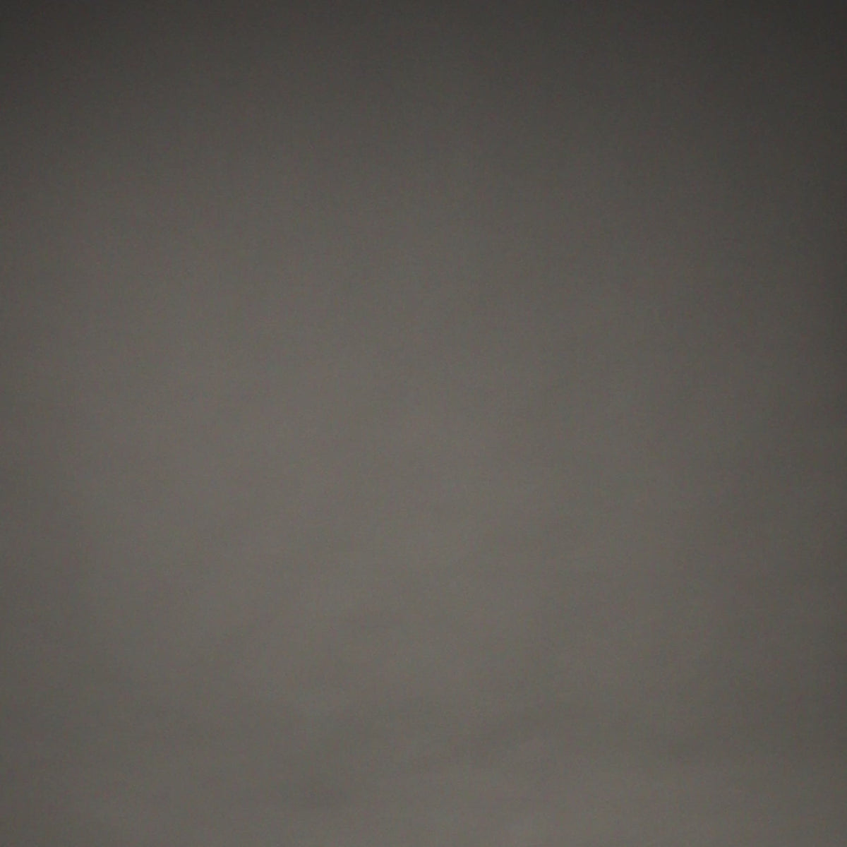 VNMUFC-00567-040